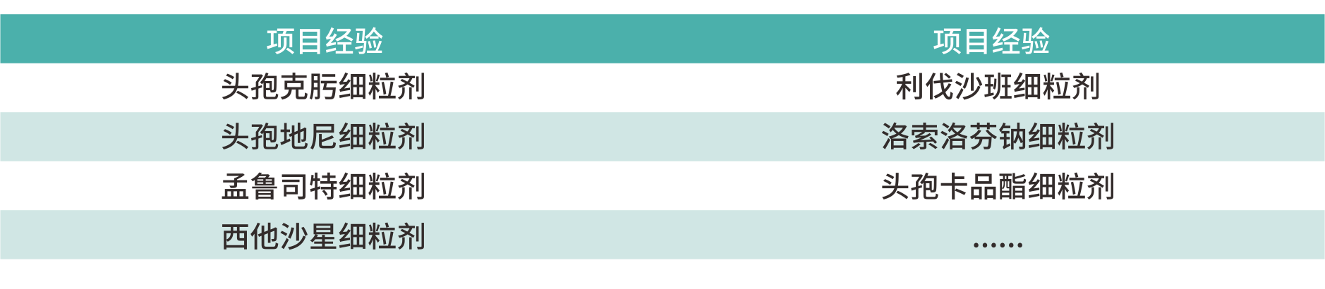 1705895324628857e3Yi.png 細粒掩味-項目經驗.png